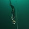 Free Diving | 60 Minutes Archive