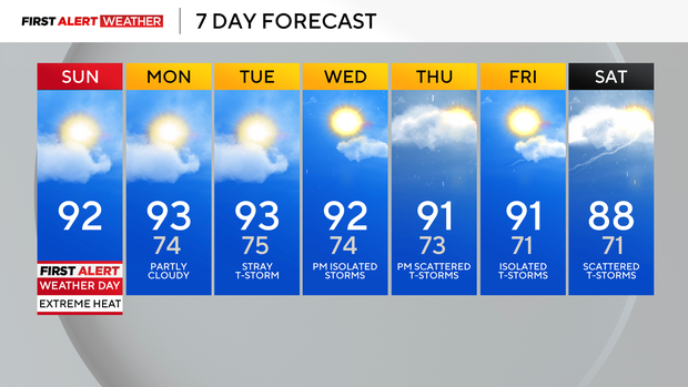 temp6.png