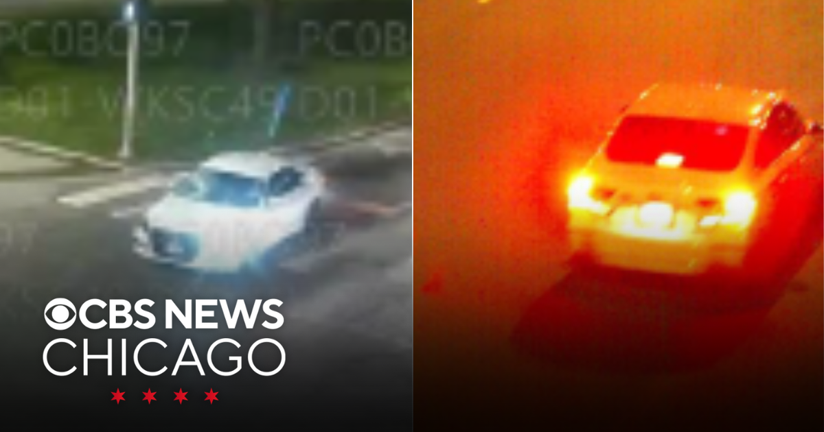 CPD release photo of vehicle in fatal DuSable Lake Shore Drive hit-and ...