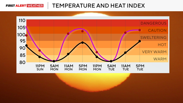 temp1.png 