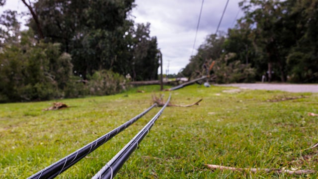 Hurricane struck electricity poles in Steinhatchee, North Florida.  Fallen tree and damaged power lines knock down the grass. Focus on cable poles 