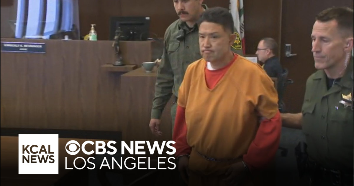 Orange County animal trainer charged with animal cruelty after 11 dogs ...