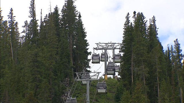 gondola.jpg 