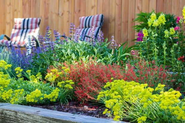 garden-in-a-box-1.jpg 