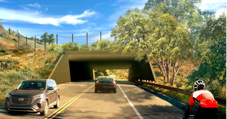 101 Freeway Annenberg Wildlife Crossing enters final phase of construction 