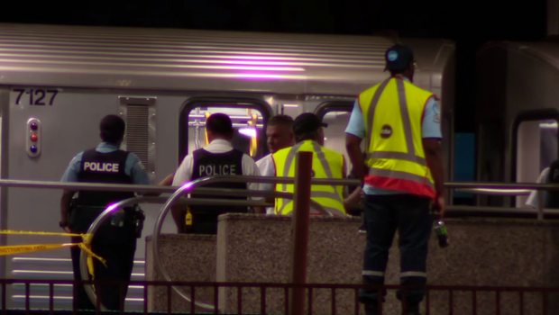 Man Fatally Stabbed on Chicago CTA Blue Line in Rosemont; Suspect in Custody