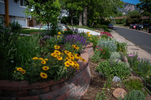 garden-in-a-box-home-3-1.jpg 
