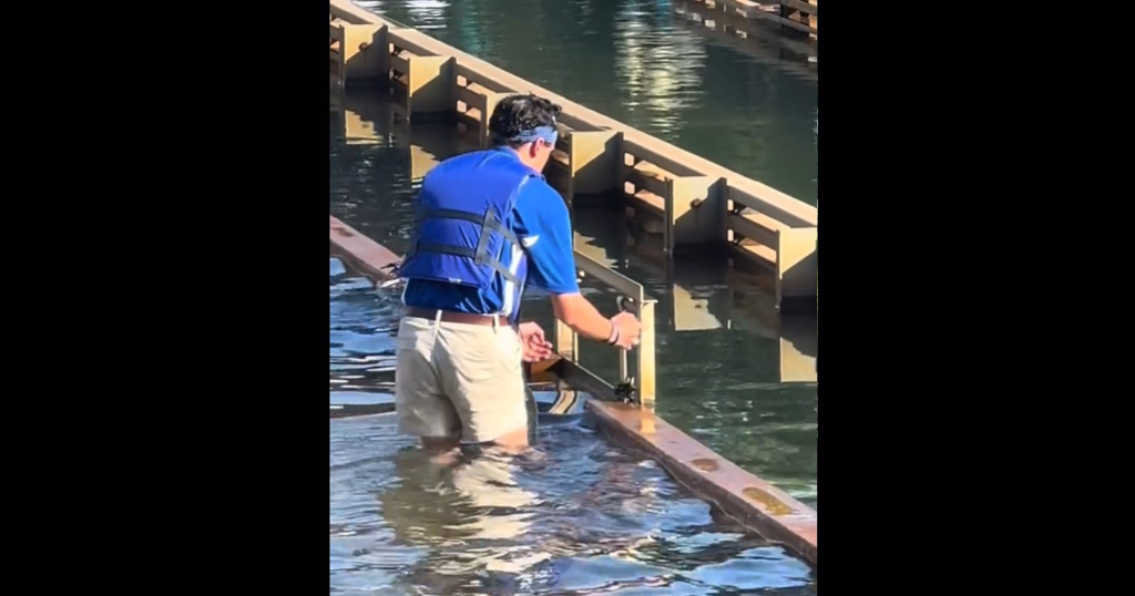 Kennywood employee saves ducklings from Pittsburg Plunge tracks 