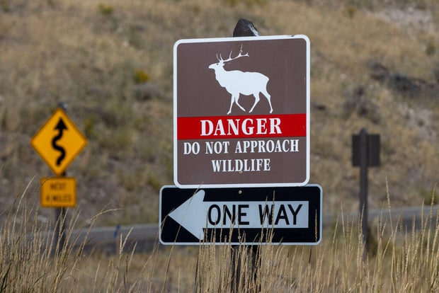 Yellowstone National Park 