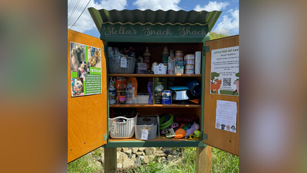 kdka-stella-snack-shack-1.png 