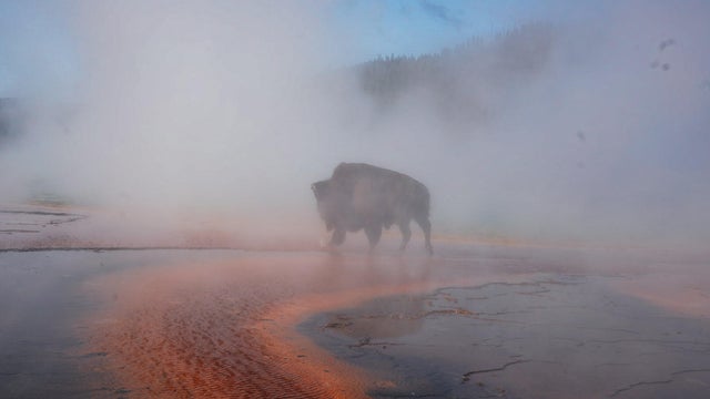 image0.jpg 