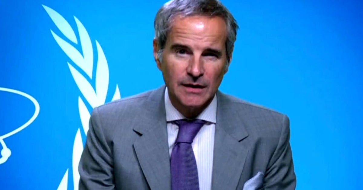 Nuclear watchdog agencys general director says Irans capabilities suffered severe damage