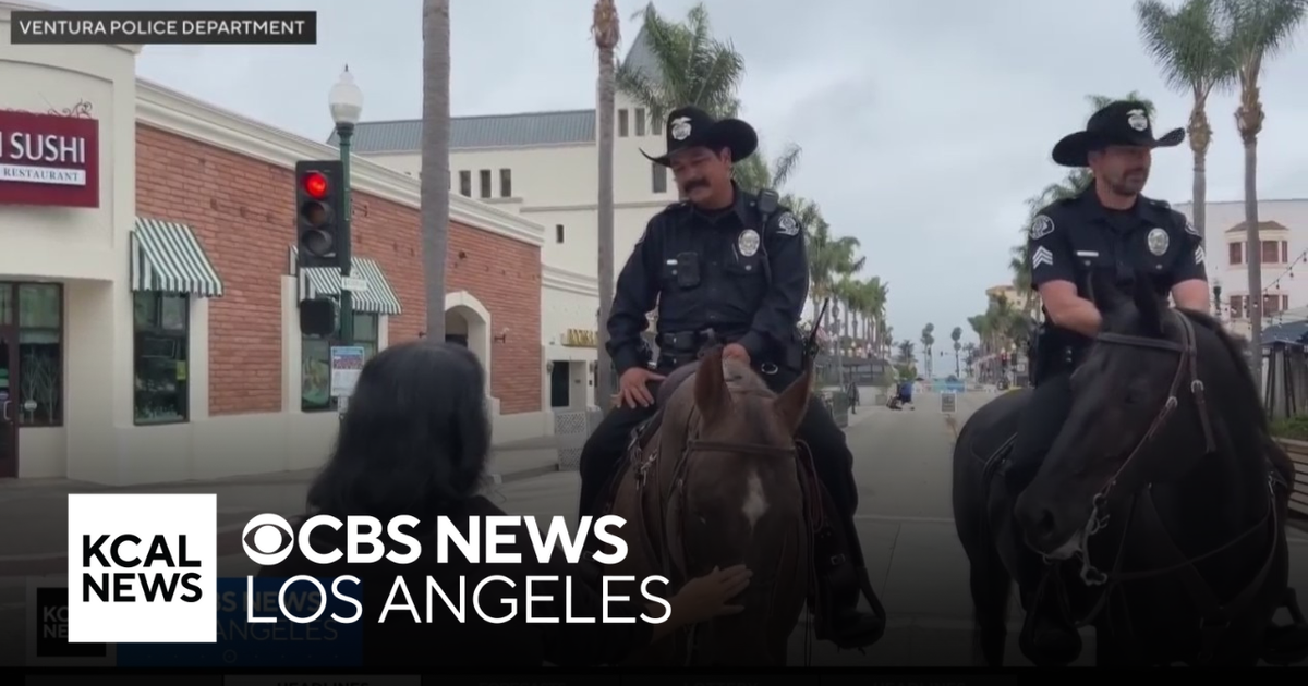 Ventura Police Department deploying mounted patrol unit - CBS Los Angeles