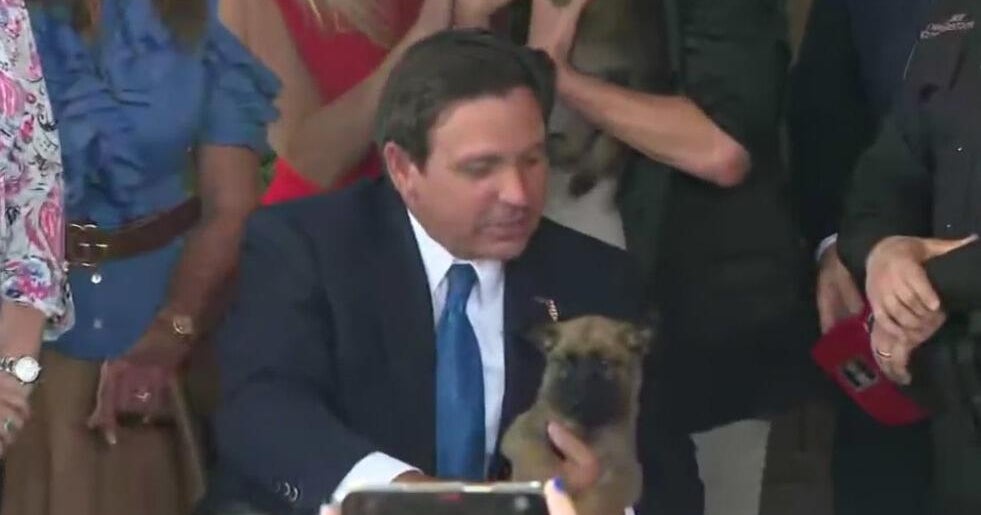 Nearly 100 new Florida laws go into effect July 1