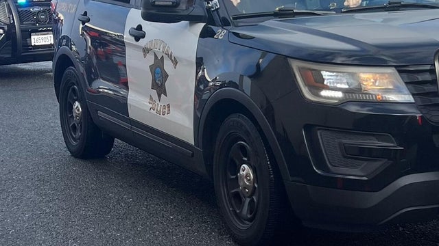 Sunnyvale police DPS generic 