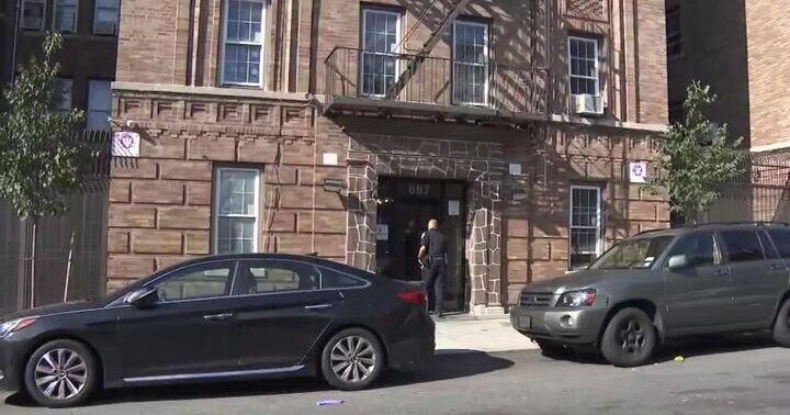 NYPD hunting for suspect in stabbing death of Bronx mother of 2 