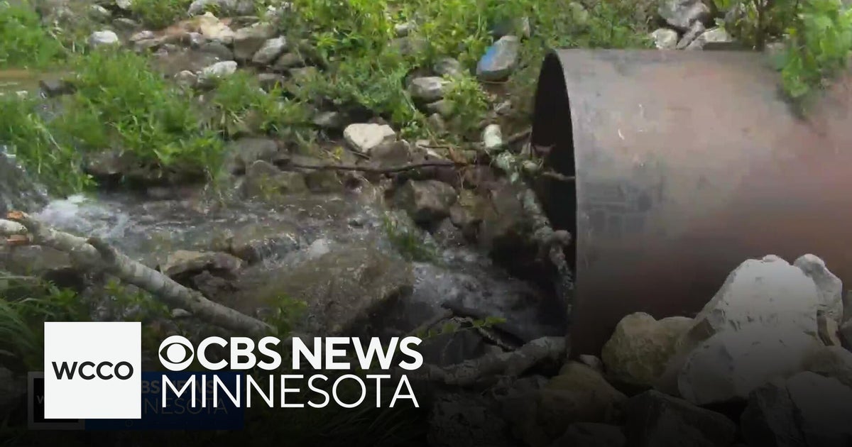 Alabama man survives getting sucked into storm drain - CBS Minnesota