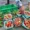 USDA cuts leave food aid groups and farmers struggling