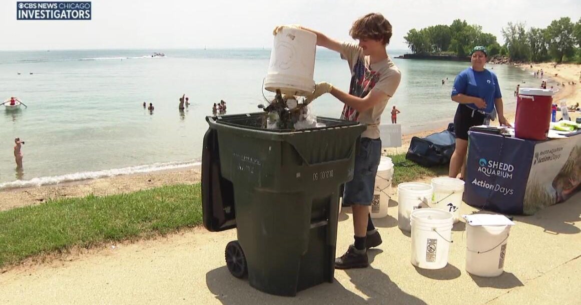 Shedd Aquarium staff and volunteers take action to clean up Chicago beaches 