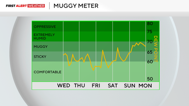 temp4.png 