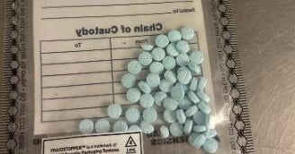 Officers seize drugs, license plates, burglary tools during traffic stop 