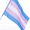 Breaking down Supreme Court case on transgender athletes in women's sports