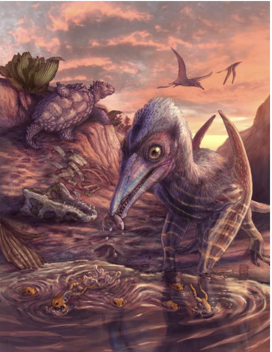 An artist's reconstruction of the fossilized creature 