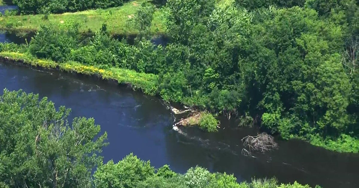 No injuries after 8 fall into Wright County river while tubing 