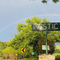History of Camp Mystic, summer camp hit by deadly Central Texas floods