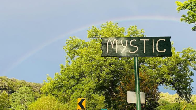 camp-mystic.png 
