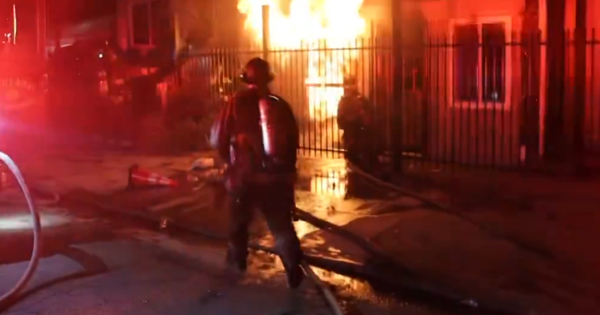 Oakland resident injured, 2 dogs dead in fire caused by illegal fireworks 