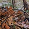 Texas flooding extremely personal for several members of Congress