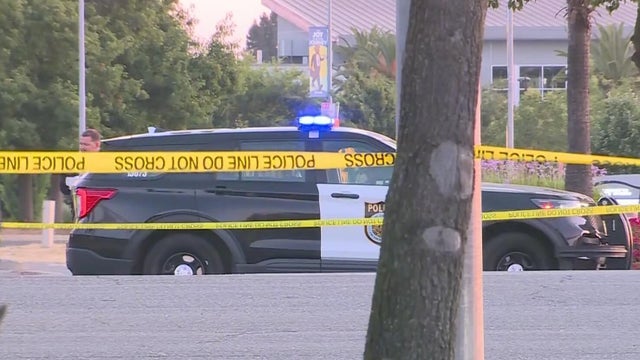 del-paso-rd-hit-and-run.jpg 
