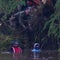 Death toll from Texas flash floods rises to at least 82, officials say