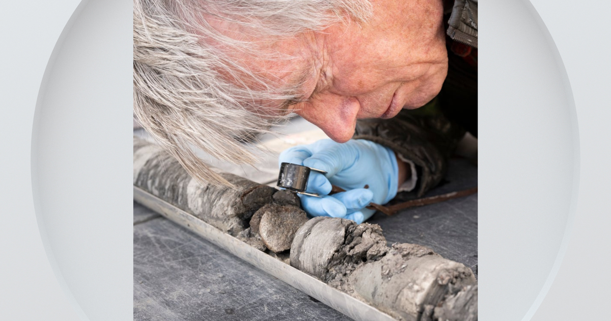 Denver Museum of Nature and Science surprised to find fossil under parking lot 