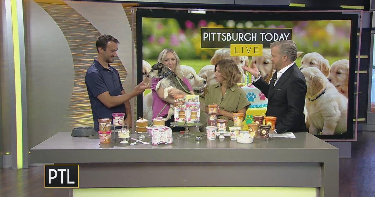 Meeting the CEO and founder of Puppy Cake - CBS Pittsburgh