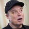 Elon Musk tells tech analyst Dan Ives to "Shut up"