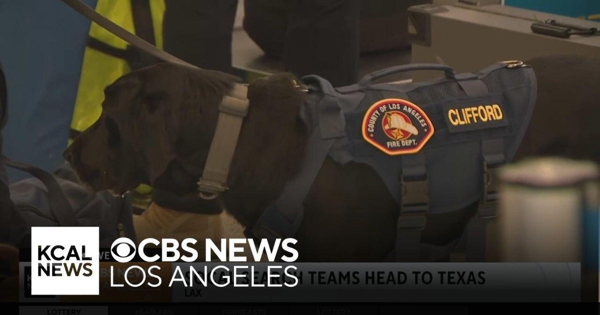 Los Angeles K9 search teams head to help in disaster recovery in Texas ...