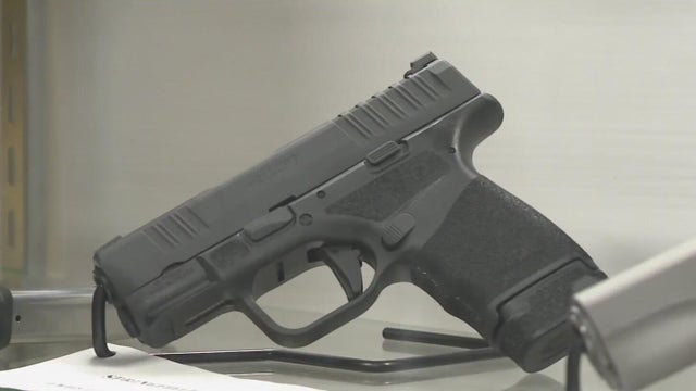 Expert talks gun rights after 2 shot by homeowner in White Lake garage break-in 
