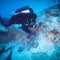 Divers exploring ancient shipwreck find artifacts, retrieve wreckage