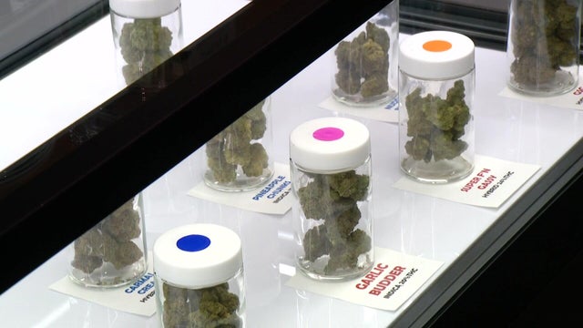 6p-pkg-new-albert-lea-cannabis-wcco87yf-00-01-0014.jpg 