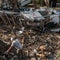 More than 160 still missing from Texas floods, at least 121 dead