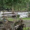 Some Texas flood alerts delayed as officials waited for authorization, ex-official says