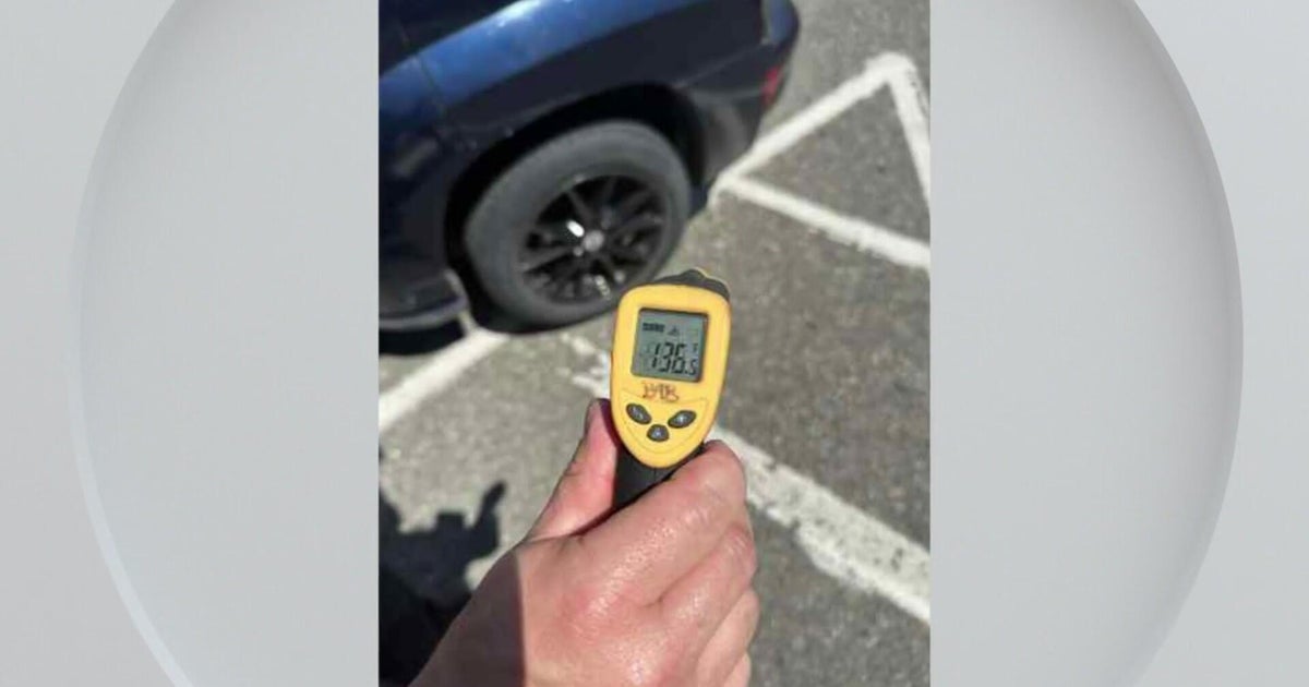 Authorities Warn After Fatal Hot Car Dog Incidents