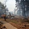 Park Service's handling of wildfire that destroyed Grand Canyon Lodge doubted