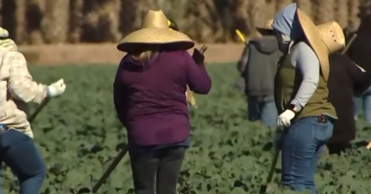 Group of California farm workers announce 3-day strike, call for end of ICE raids