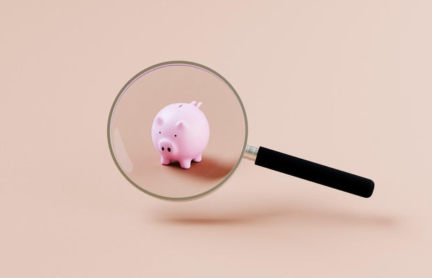 Magnifying glass with piggy bank its its focus 