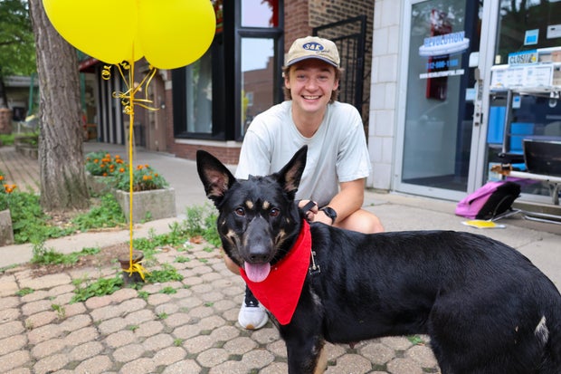 winnie-awt-adoption.jpg 