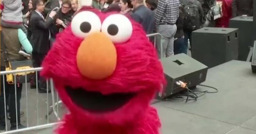 合計9kg200g ELMO インドア　2026年10月11日まで Amazon.co.jp: エルモ プロフェッショナーレ プレミアムフード