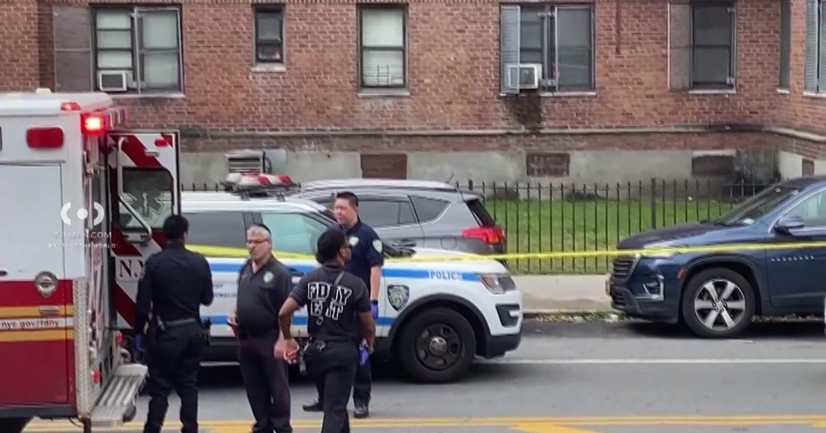 Brooklyn woman speaks after her mother is struck by stray bullet 